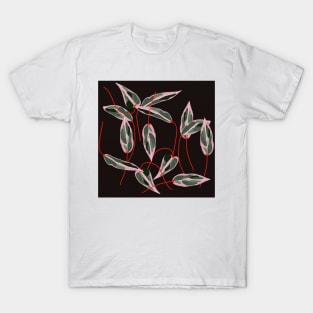 Calathea T-Shirt